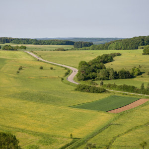 Многодетная семья из Владимирской области получила участок без коммуникаций