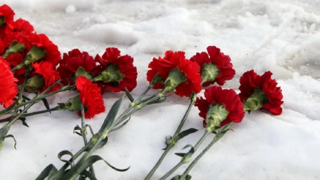 Военный из Владимирской области подорвался на мине при эвакуации раненых с поля боя