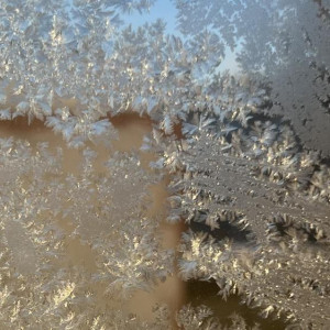 Прогноз погоды во Владимирской области на 22 января 2026 года