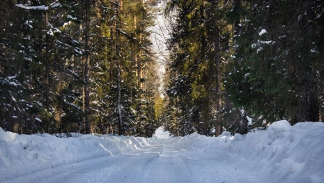 От Москвы до Мышкина. Куда поехать в новогодние каникулы из Владимирской области