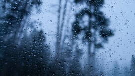 Синоптики назвали даты сильных дождей в апреле во Владимирской области