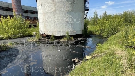 В Муроме ликвидируют утечку мазута около котельной после гибели животных