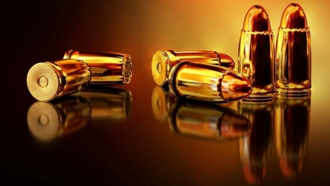 Во Владимирской области мужчину осудили за изготовление оружия