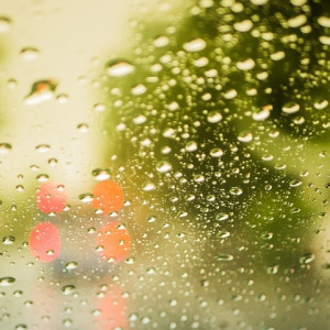 Во Владимирскую область снова вернутся холода