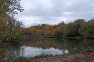 Во Владимире парк у ДТЮ благоустроят через 3 года
