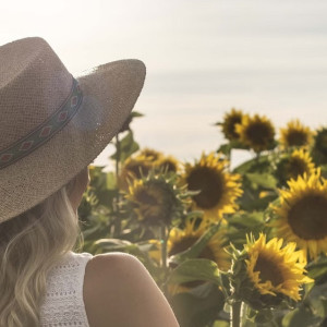Экстремальная жара покинет Владимирскую область