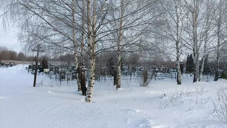 В Юрьев-Польском кладбище утонуло в мусоре