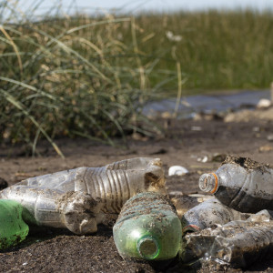 Во Владимирской области нашли мусорную свалку в 30 соток