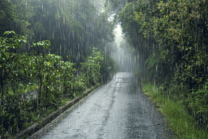 Синоптики предупредили о грозе с сильным ветром во Владимирской области 9 августа