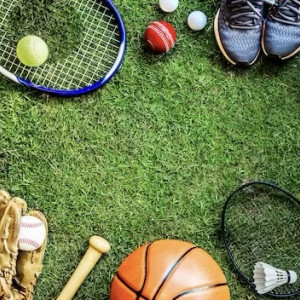 Владимирские спортсмены привезли более 600 медалей за год с соревнований