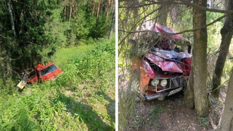 Во Владимирской области 53-летний водитель ВАЗ врезался в дерево