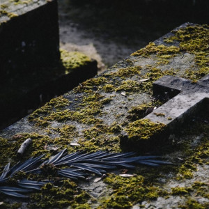 Во Владимирской области прославившееся могилой для участника СВО кладбище признали законным