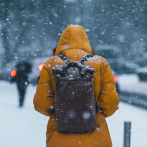 Жителей Владимирской области предупредили о затяжном аномальном морозе