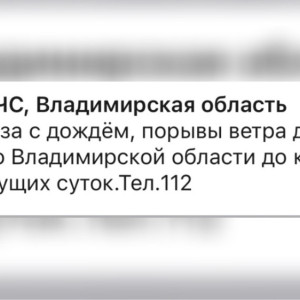 МЧС предупредило жителей Владимирской области о ливне с грозой и урагане 2 июля