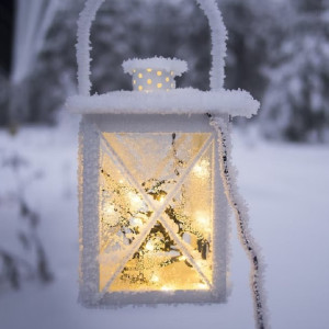 Жителям Владимирской области пообещали продолжение еврозимы 