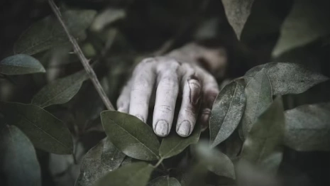 Без вести пропавшего 47-летнего жителя Владимира нашли мертвым на тропинке в лесу