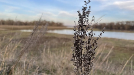 Прогноз погоды во Владимирской области на 12 марта 2025 года