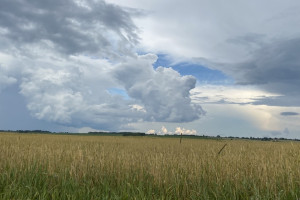 Когда во Владимирской области закончится аномальная жара?
