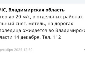 Во Владимирской области спрогнозировали метель 14 декабря