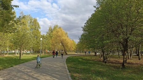 Улицу в Докучаевске переименуют в честь Владимира