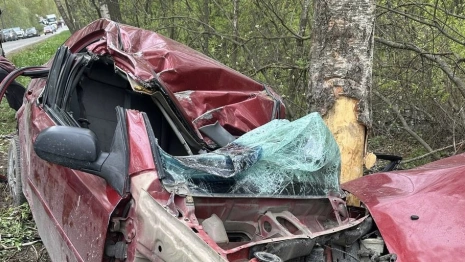 В Собинском районе человека зажало в улетевшей в кювет машине