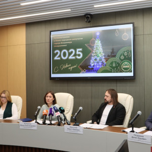 Во Владимире 20 декабря стартуют новогодние шоу