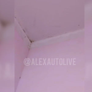 В Александрове в детсаду №15 проведут проверку после жалоб на тараканы
