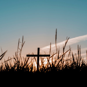 В Коврове продолжают хоронить людей за пределами кладбища