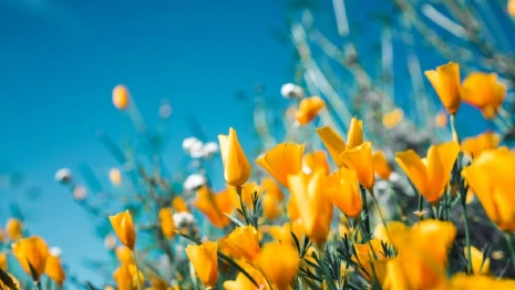 Синоптики дали прогноз на весну во Владимирской области