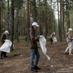 Субботники во Владимире проведут даже в непогоду