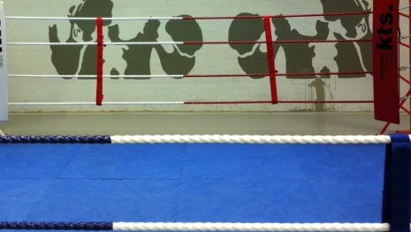 Во Владимире запланировали построить спорткомплекс по многоборью