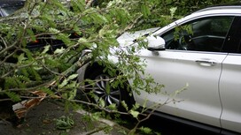 Под Киржачом иномарка влетела в дерево: водитель и пассажир погибли