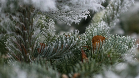 Прогноз погоды во Владимире и области на 28 января