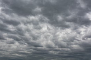 Во Владимирской области спрогнозировали ураган 17-24 м/с