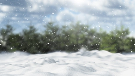 Первое воскресенье зимы во Владимире будет морозным и снежным