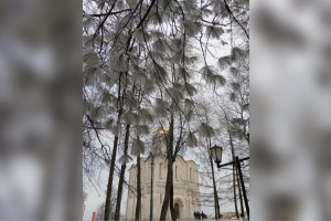 Во Владимире показали покрытый инеем парк у Дмитриевского собора