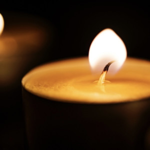 В зоне СВО погиб Александр Цаплин из Собински