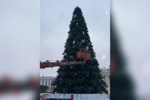 Во Владимире просрочили установку новогодней ели на Соборной площади