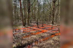 Жители Петушков пожаловались на загрязнение земли сточными водами