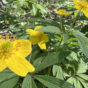 Марк Ключник: что можно и чего нельзя делать 8 мая