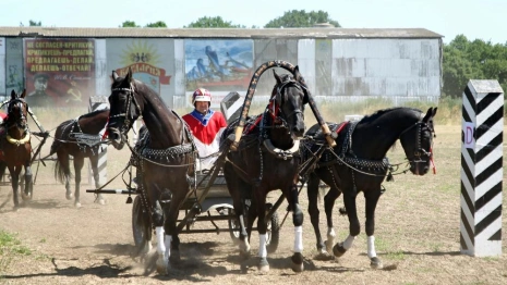 Авдеев сравнил езду на русской тройке с управлением Владимирской областью