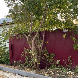 Во Владимире бизнесмен расширил участок за счет муниципальной земли