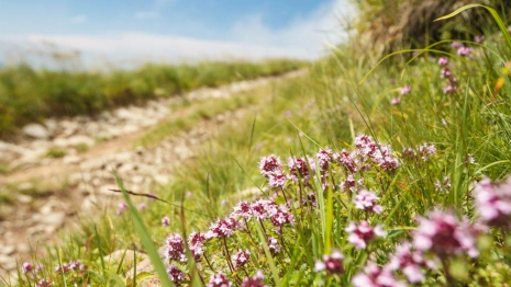 Прогноз погоды во Владимирской области 1 сентября