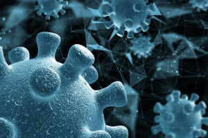 Во Владимирской области заболеваемость коронавирусом выросла до 80 случаев