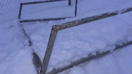 История с падением футбольных ворот на 15-летнего ребенка в Александрове дошла до Бастрыкина