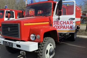 Во Владимирской области спрогнозировали ранний лесопожарный сезон