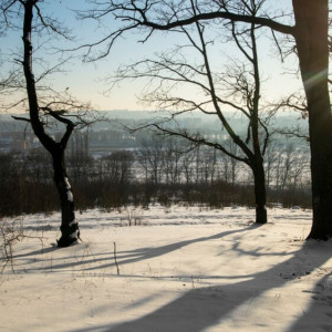 Прогноз погоды во Владимире и области на 28 февраля