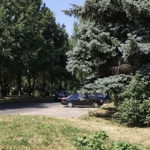 Благоустройство бульвара Художника Иванова во Владимире обойдется в 100 млн рублей