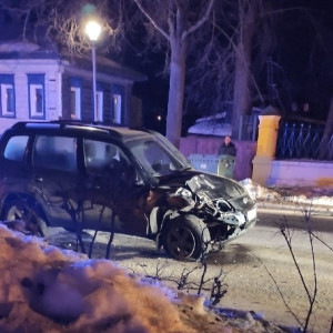 Во Владимирской области повозку с туристами сбил замначальника полиции
