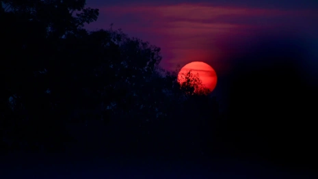 Жители Владимирской области смогут увидеть «кровавую» луну